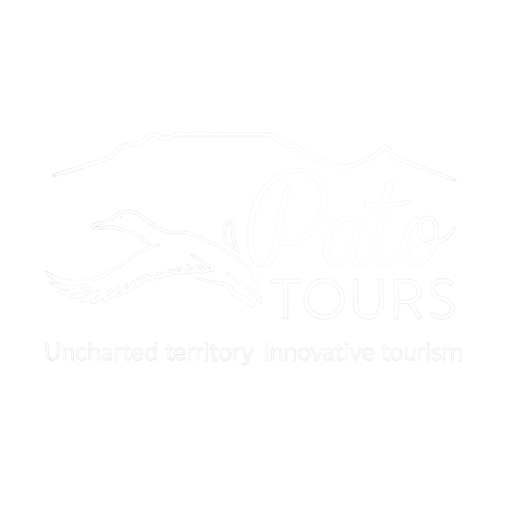 logo-white